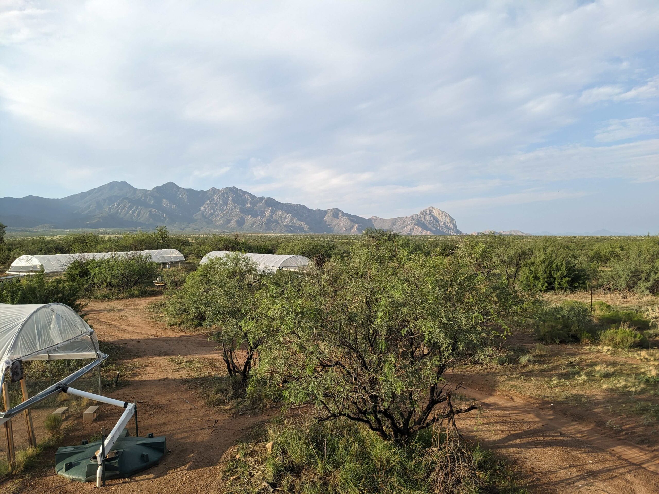 playzone gcash sign up